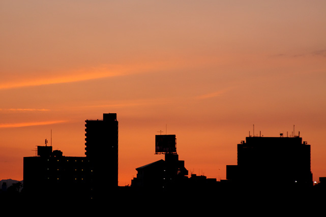 b0067789_20313319.jpg