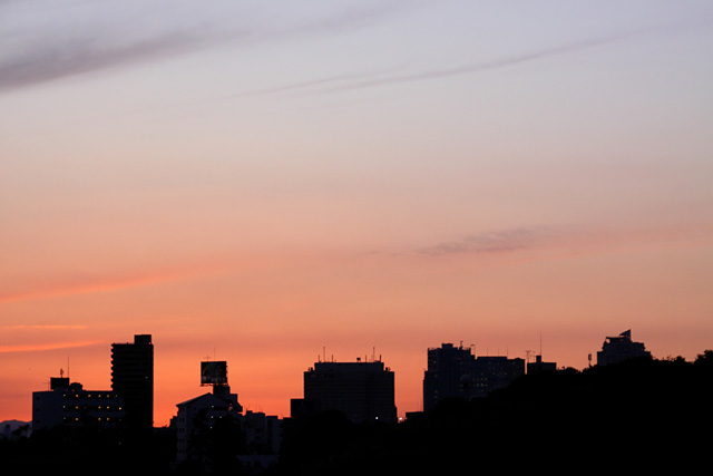 b0067789_20313932.jpg