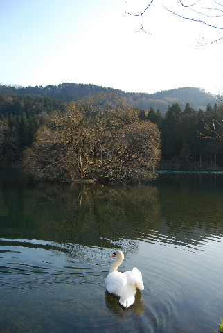 c0156789_21483038.jpg