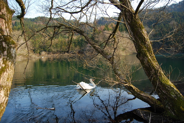 c0156789_2149281.jpg