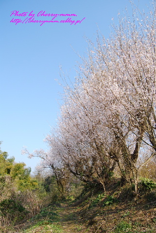 c0156789_2152206.jpg