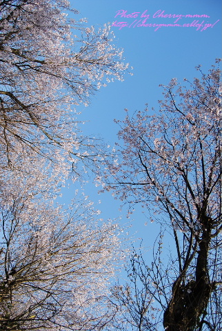 c0156789_21524760.jpg