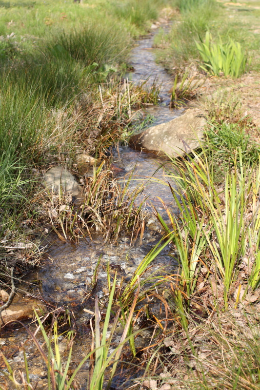 f0068291_17145181.jpg