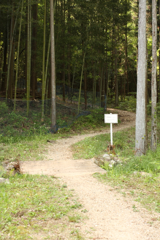 f0068291_17152100.jpg