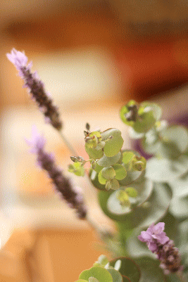 d0100192_1538591.gif