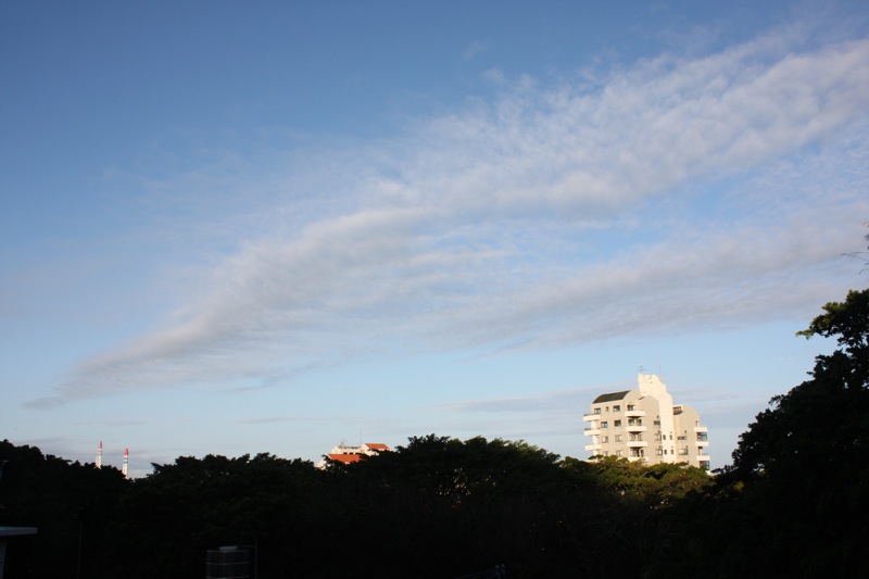c0193396_23364894.jpg