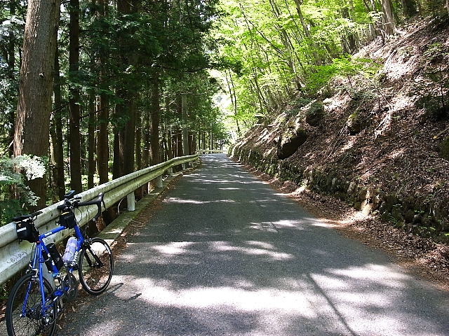 d0081997_21313595.jpg