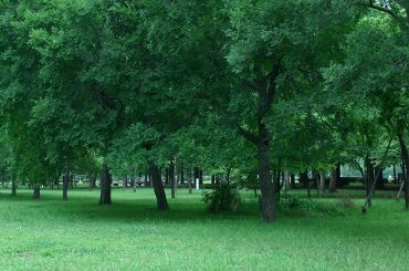 f0201297_095616.jpg