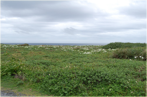 a0034198_115175.jpg