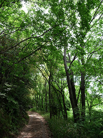 d0001300_220926.jpg