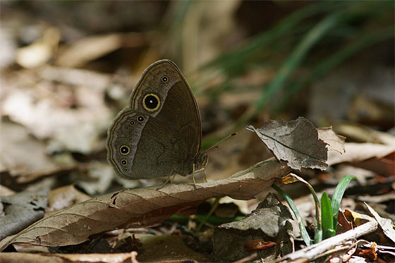 d0001300_2225472.jpg