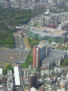 f0114900_11145588.jpg