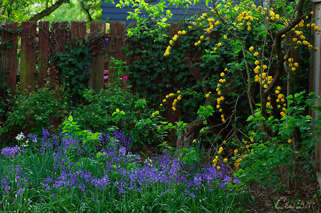 c0080101_704963.jpg