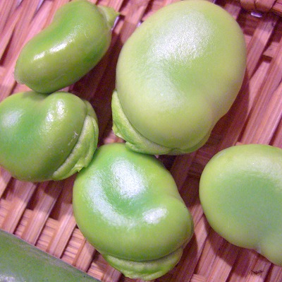 c0125702_895179.jpg
