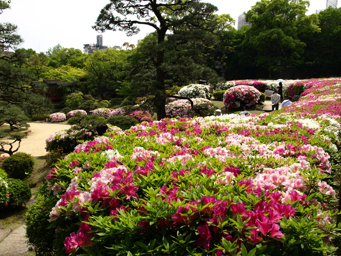 c0177502_2133787.jpg