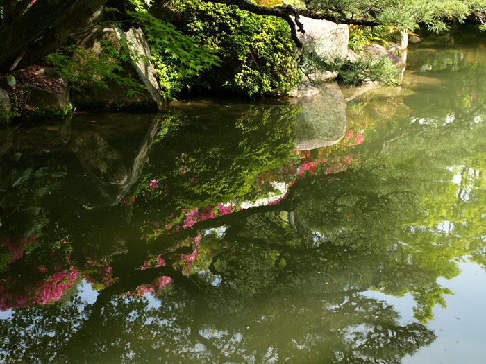 c0177502_2154751.jpg