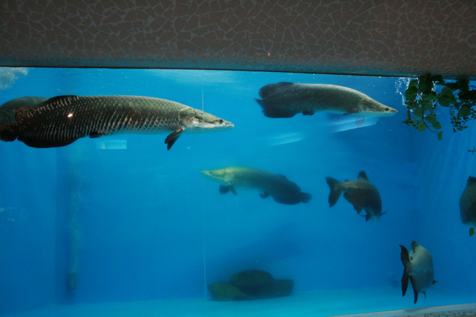 d0070702_2338108.jpg