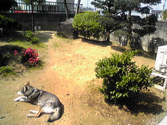 f0079202_10164751.jpg