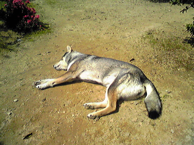 f0079202_10164845.jpg