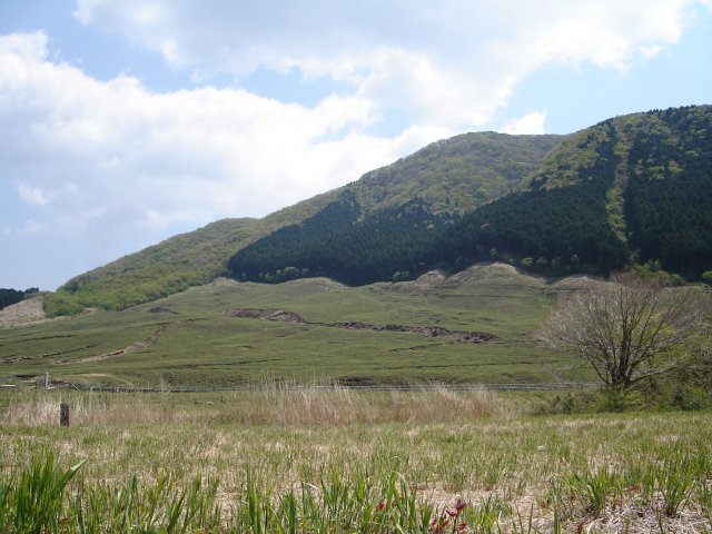 a0116205_2124728.jpg
