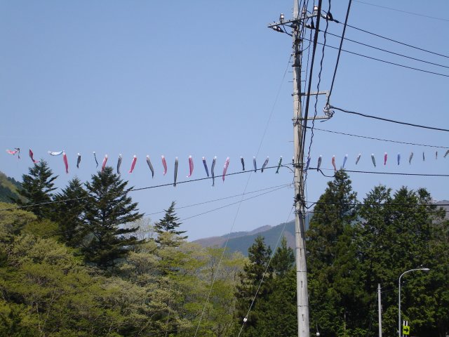 a0116205_2455972.jpg