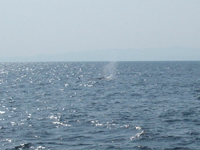 f0048405_1428976.jpg