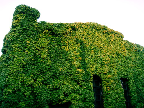 f0100505_018783.jpg