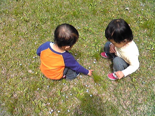 d0005908_16203851.jpg