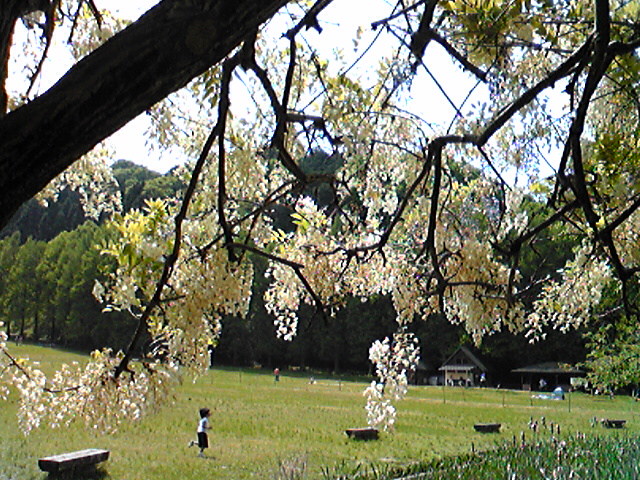 d0005908_16231872.jpg