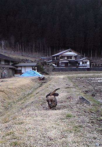 f0135908_2224482.jpg