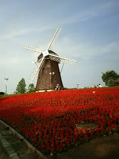 b0021311_1762917.jpg