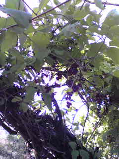 a0112812_23235047.jpg