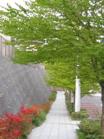 c0165914_19501717.jpg