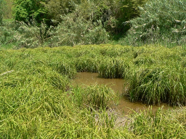 e0002314_2122588.jpg