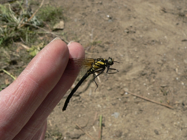 e0002314_21363125.jpg