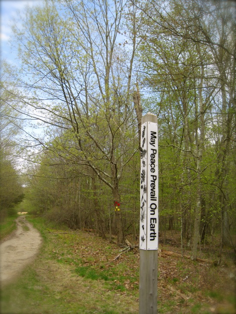 c0120817_11551992.jpg