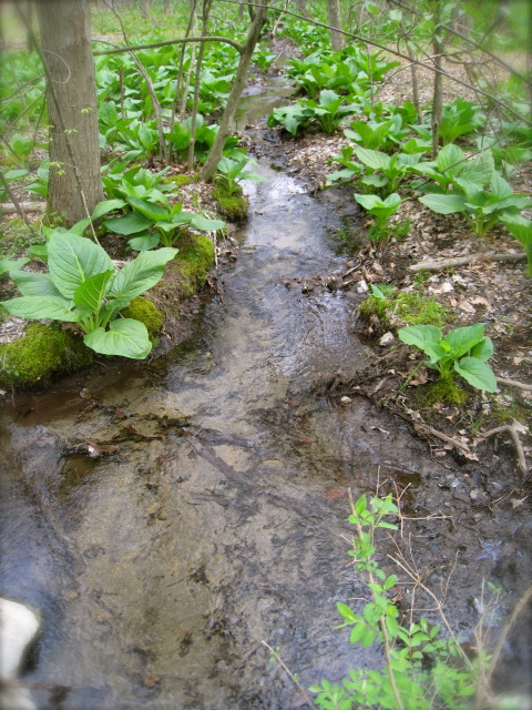 c0120817_11562094.jpg