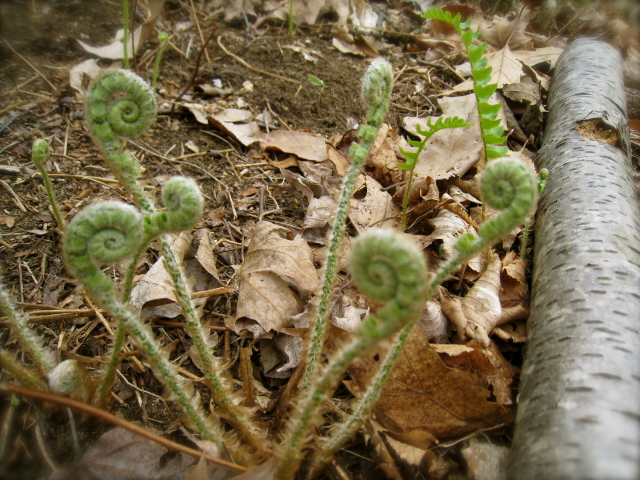c0120817_11594513.jpg