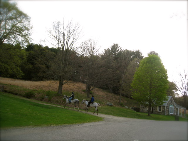 c0120817_1225632.jpg