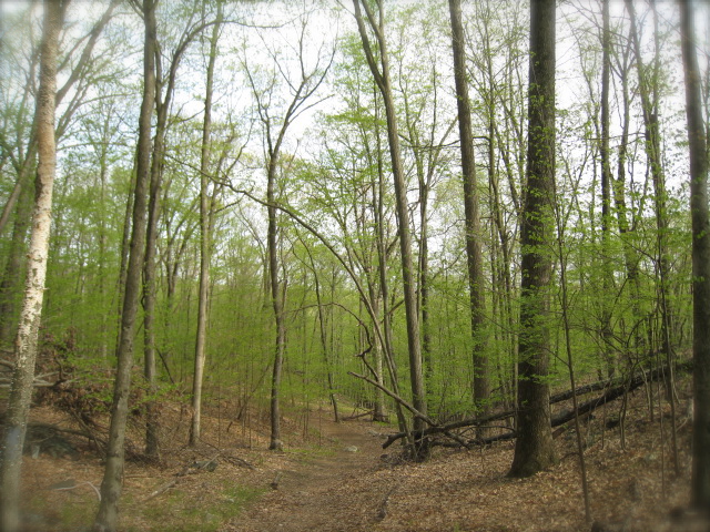 c0120817_123396.jpg