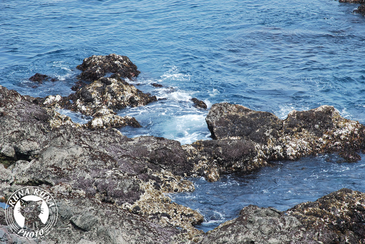 b0118920_21161171.jpg