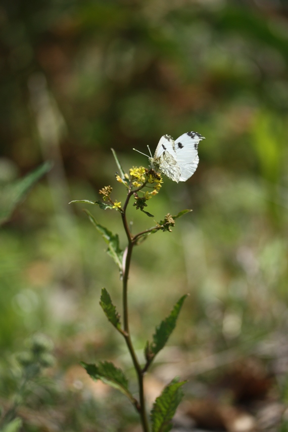 b0146723_17445135.jpg