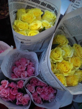 e0127926_0325462.jpg
