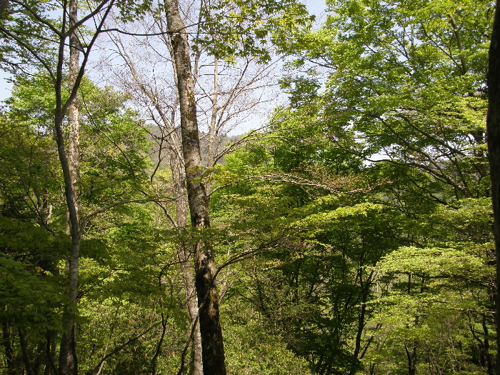 f0103126_22201975.jpg