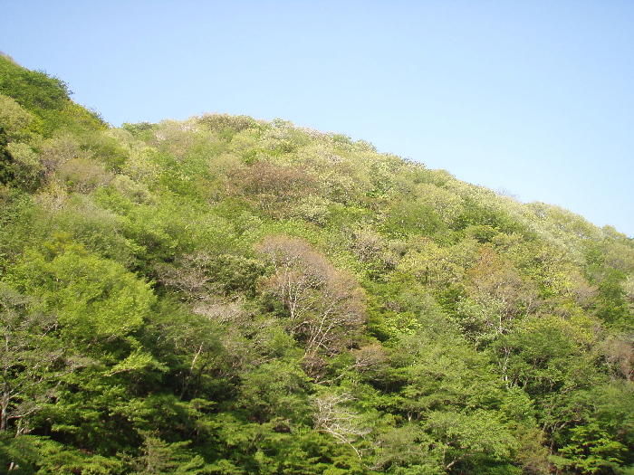f0103126_22204099.jpg