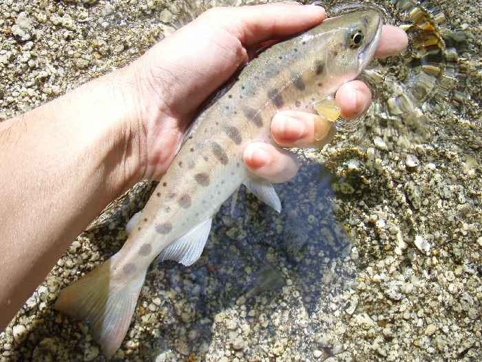 f0103126_22421536.jpg