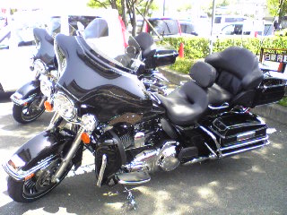 a0099129_16403822.jpg