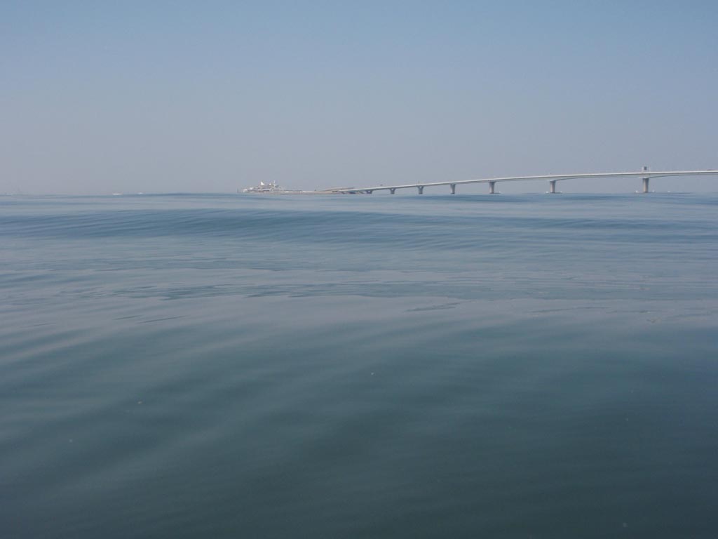 b0173629_14484869.jpg