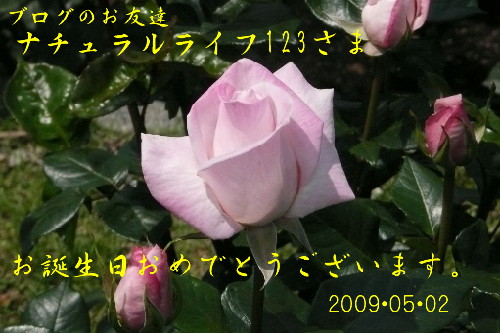 e0033229_0163168.jpg