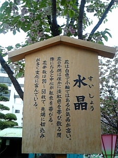 f0028132_21243528.jpg